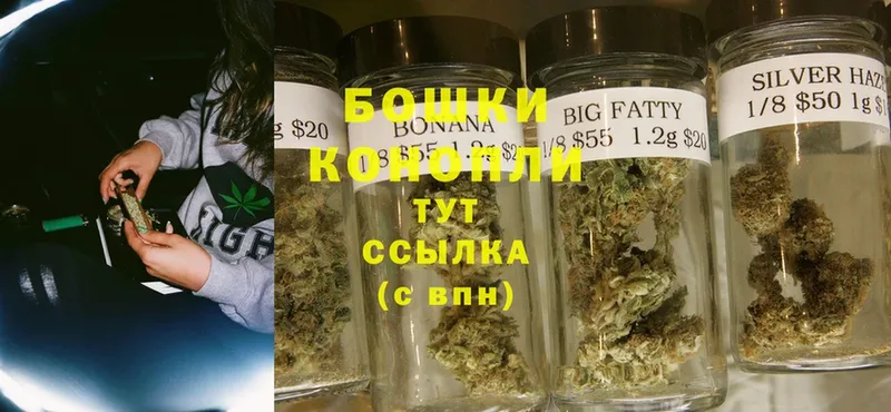 Бошки марихуана White Widow  Белая Калитва 